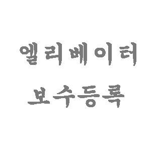 승강기안전